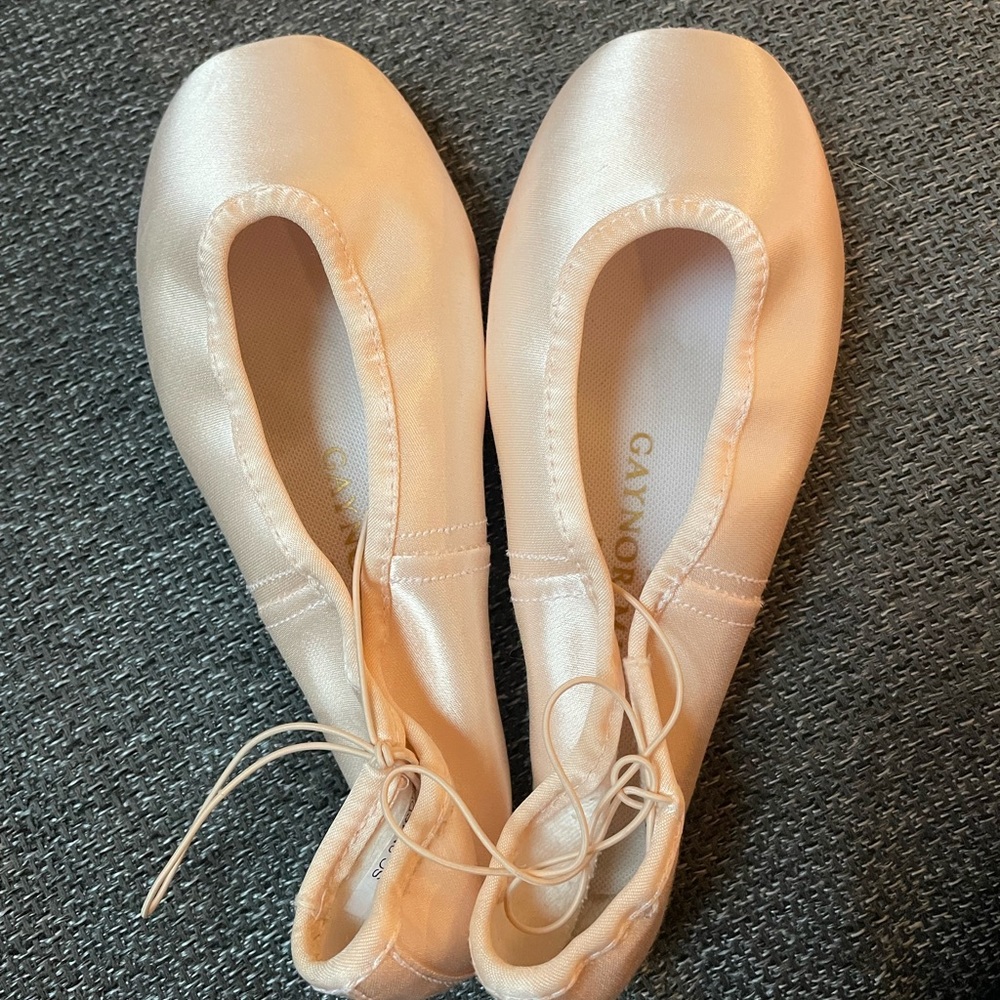 Gaynor Minden Pointe Shoes